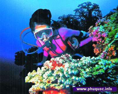 PhuQuoc_diving1